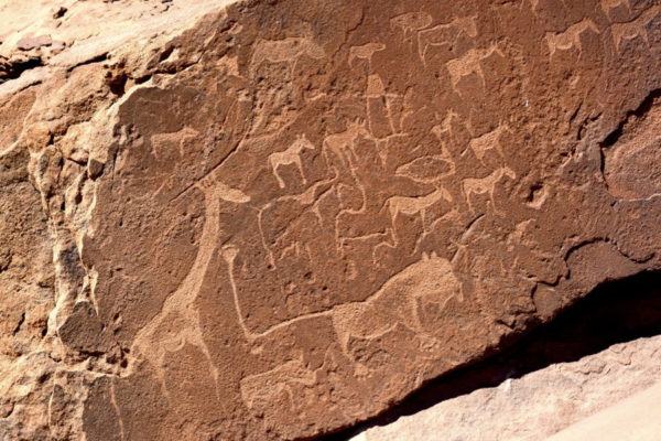 Petroglify Twyfelfontein