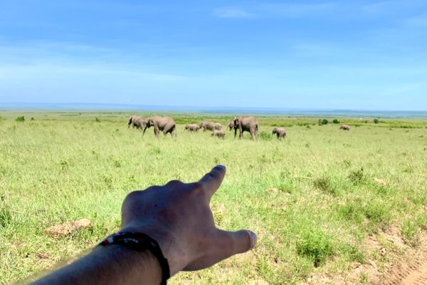 Národný park Masai Mara 