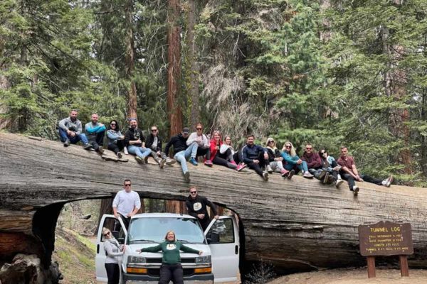 Sequoia NP