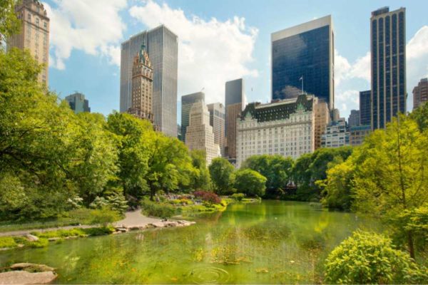 Central Park