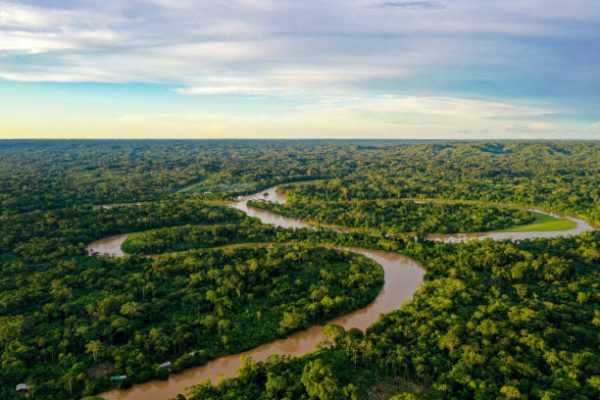 🛶 Plavba po Amazonke a ružové delfíny