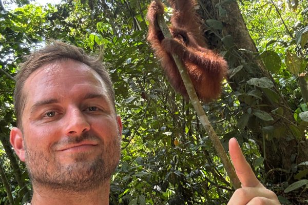 🐒 Orangutany v divočine