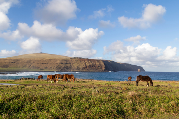 Jazda na koni po Rapa Nui 