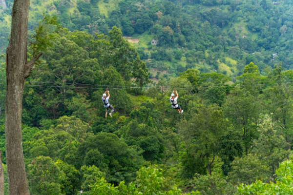 Zipline ponad džungľou